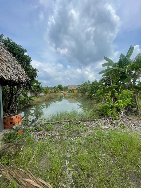 Bán đất nhà vườn Chơn Thành 2000 m²