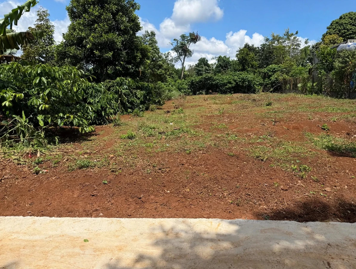 Bán đất nền 150m² Cư Bao Buôn Hồ, giá 250 triệu - Ảnh thu nhỏ 3