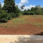 Bán đất nền 150m² Cư Bao Buôn Hồ, giá 250 triệu - Ảnh thu nhỏ 3