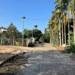 Đất bán 10x29m góc 2 mặt tiền Phường Thành Nhất Hóc Môn - Ảnh thu nhỏ 1