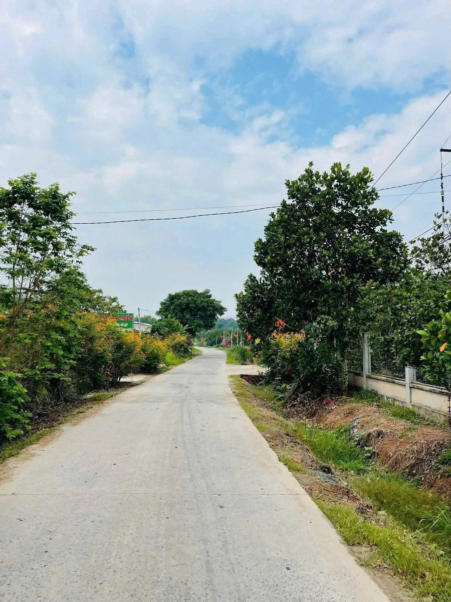 Bán đất Đường Số 15, Phường Minh Hưng, Đồng Nai 460 triệu - Ảnh thu nhỏ 2