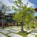Bán nhà vườn 1.606m² Phan Thiết 1 tỷ 790 triệu - Ảnh thu nhỏ 3