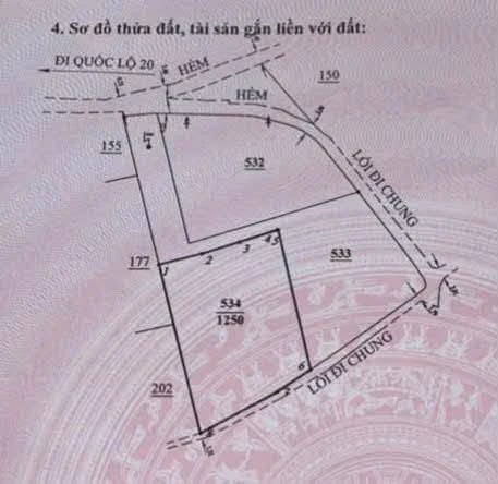 Bán đất 430m2 thổ cư Đà Lạt 3 tỷ - Ảnh 1