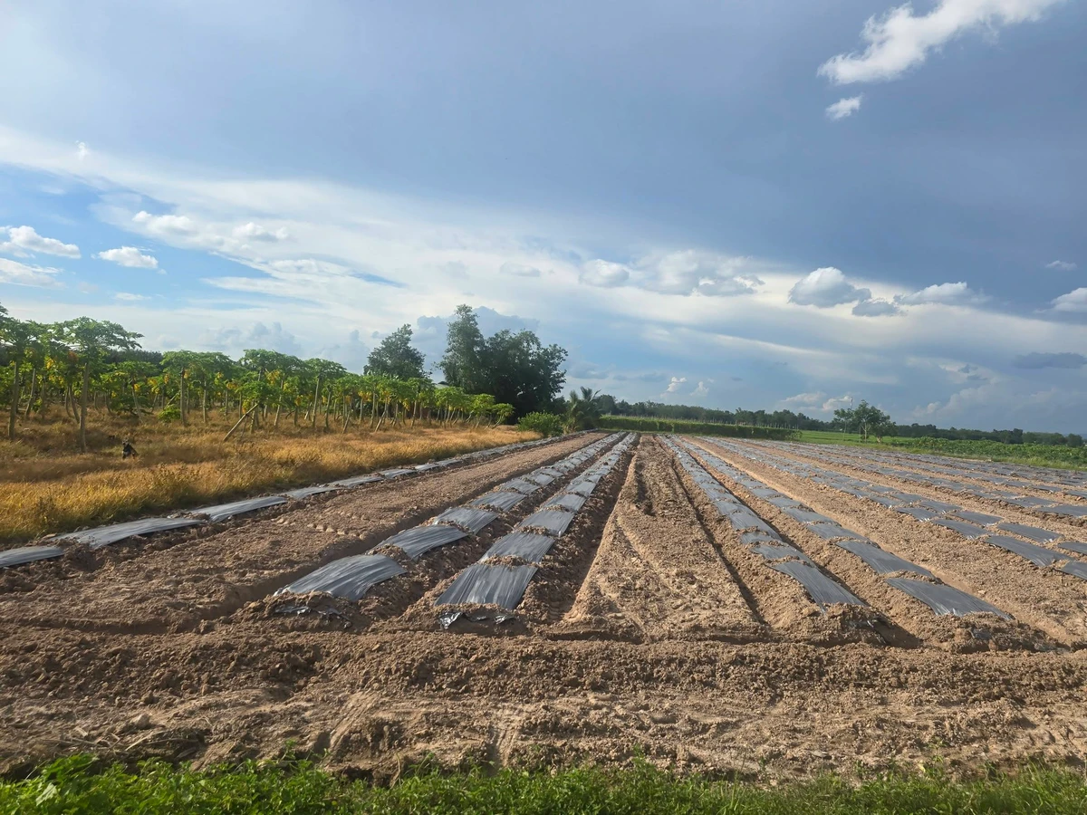 Bán đất 9.000m2 ở Ninh Điền giá 1 tỷ 2 - Ảnh thu nhỏ 5