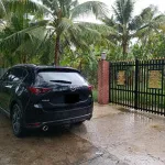 Chính chủ bán lại đất vườn, có thổ cư tại xã Tân Thạch, huyện Châu Thành, tỉnh Bến Tre - Ảnh thu nhỏ 11