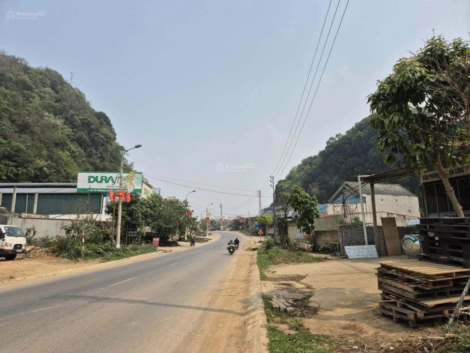 Lô mặt đường Quốc Lộ 6 (Vip) trung tâm Mộc Châu - Ảnh thu nhỏ 3
