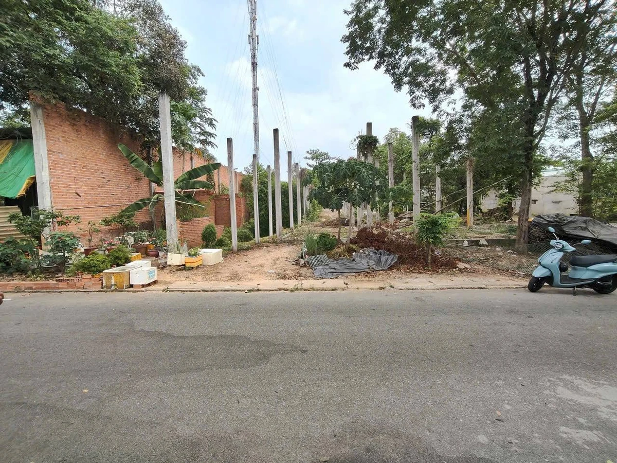 Bán đất 356m² mặt tiền Thới Hòa, Bình Chánh, 3 tỷ - Ảnh 1