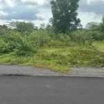 Bán lô đất 110m² mặt tiền đường Nguyễn Văn Hưng, gần 900 triệu - Ảnh thu nhỏ 3