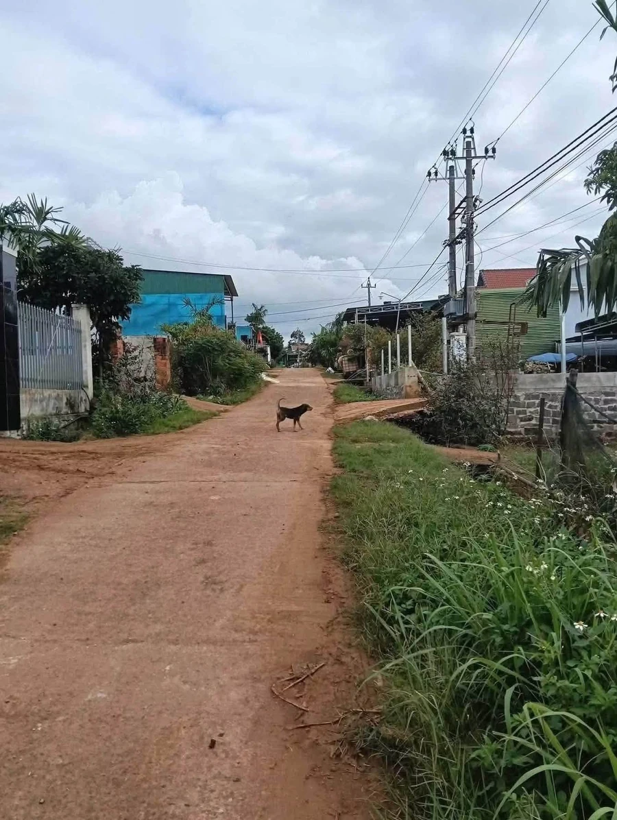 Bán lô đất 100m² tại Thuận An, Đắk Nông - 715 triệu - Ảnh thu nhỏ 2