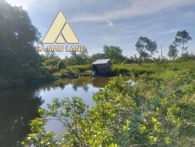 Bán vuông 7.420 m² đất thủy sản Cà Mau gần Rạch Bàn