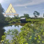 Bán vuông 7.420 m² đất thủy sản Cà Mau gần Rạch Bàn - Ảnh thu nhỏ 1