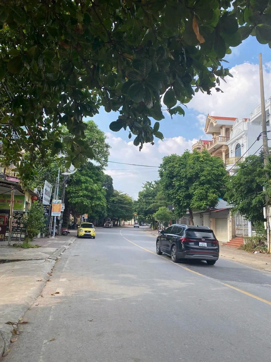 Bán đất phố Trần Hưng Đạo, Hải Phòng, 330m2, 3 tỷ - Ảnh thu nhỏ 3
