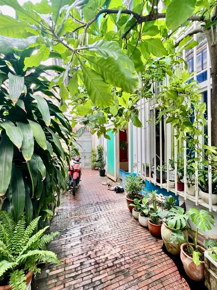 Bán nhà trệt lầu sân thượng 135m2 sân vườn, 4 phòng ngủ hẻm Nguyễn Thị Minh Khai, Quận 1 - Ảnh 1