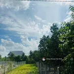 1,2 tỷ - Đất xây trọ gần KCN Phước Đông, Tây Ninh 11x46m có 100m² thổ cư - Ảnh thu nhỏ 6