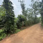 Bán đất 2000m² Xuân Tây Cẩm Mỹ 1 tỷ 500 triệu - Ảnh thu nhỏ 2