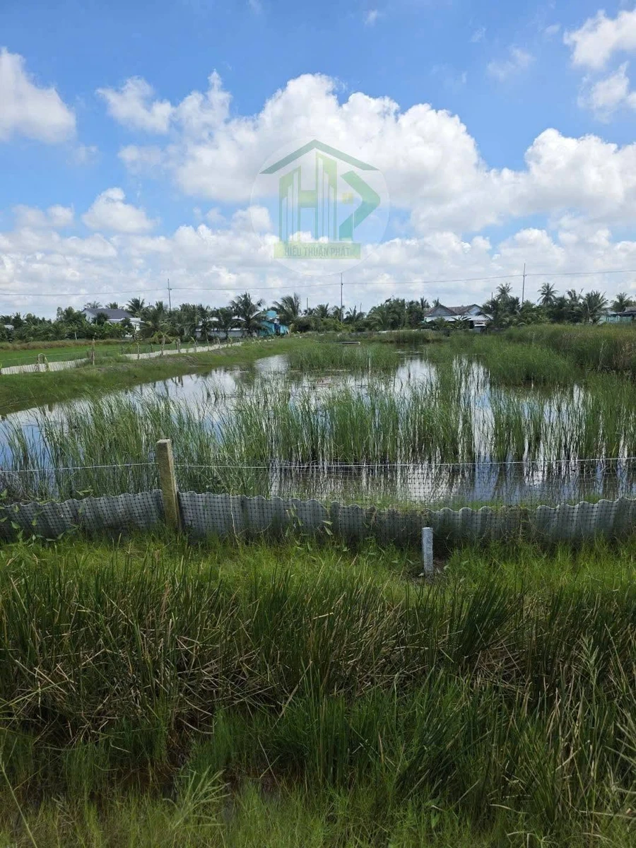 Bán nền 750m² ở Xã Ninh Thạnh Lợi, Cà Mau 450 triệu - Ảnh 1