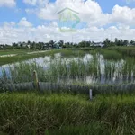 Bán nền 750m² ở Xã Ninh Thạnh Lợi, Cà Mau 450 triệu - Ảnh thu nhỏ 1