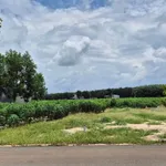 Bán đất 100m2 thổ cư Nha Bích, Bình Dương 600 triệu - Ảnh thu nhỏ 3