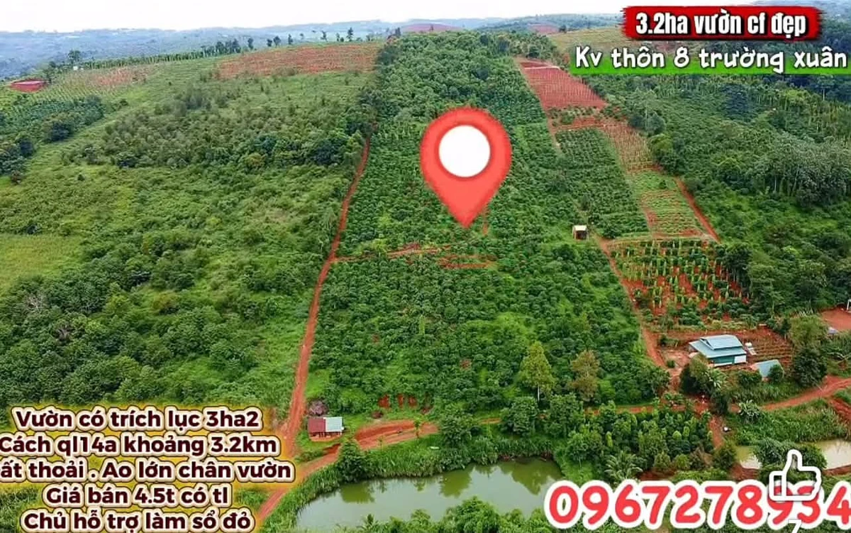 Bán vườn 3.2 ha Thôn 8 Trường Xuân 4.3 tỷ - Ảnh thu nhỏ 2