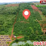 Bán vườn 3.2 ha Thôn 8 Trường Xuân 4.3 tỷ - Ảnh thu nhỏ 2