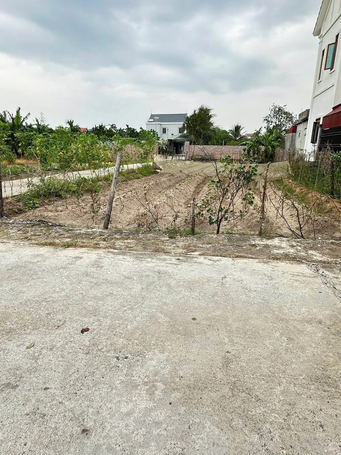 Bán lô đất 99m2 mặt tiền Liên Xã Ninh Giang - Ảnh 1