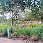 Bán nền đất 5x23m Phường Bảo Vinh 750 triệu - Ảnh thu nhỏ 1