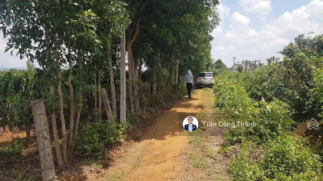 847m2 (sẵn 70m2 đất ở) - mặt tiền 18m - Ảnh thu nhỏ 5