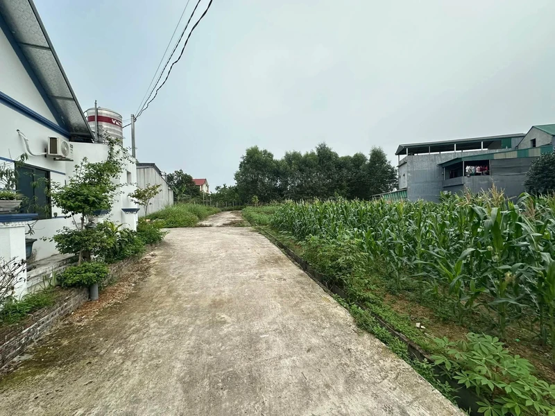 Bán lô đất 135m2 (50m2 thổ cư) giá hơn 600 triệu tại Khu 5, Hạ Hòa, Phú Thọ