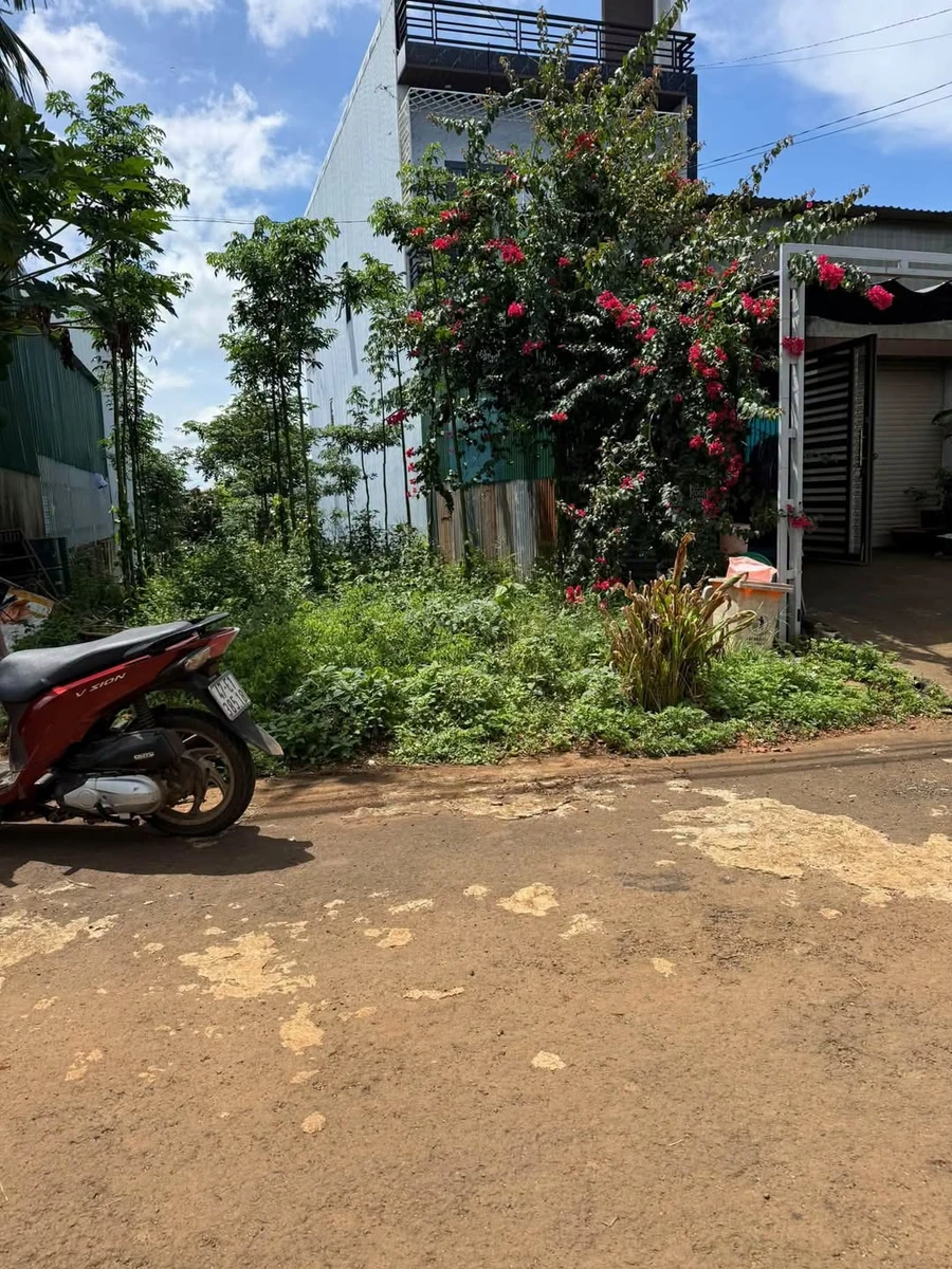 Bán đất mặt tiền Đinh Tiên Hoàng Dạk Mил 162m² 1 tỷ 350 triệu - Ảnh 1