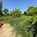 Bán đất thổ cư 103.6m² view sông tại Cần Giờ - Ảnh thu nhỏ 1