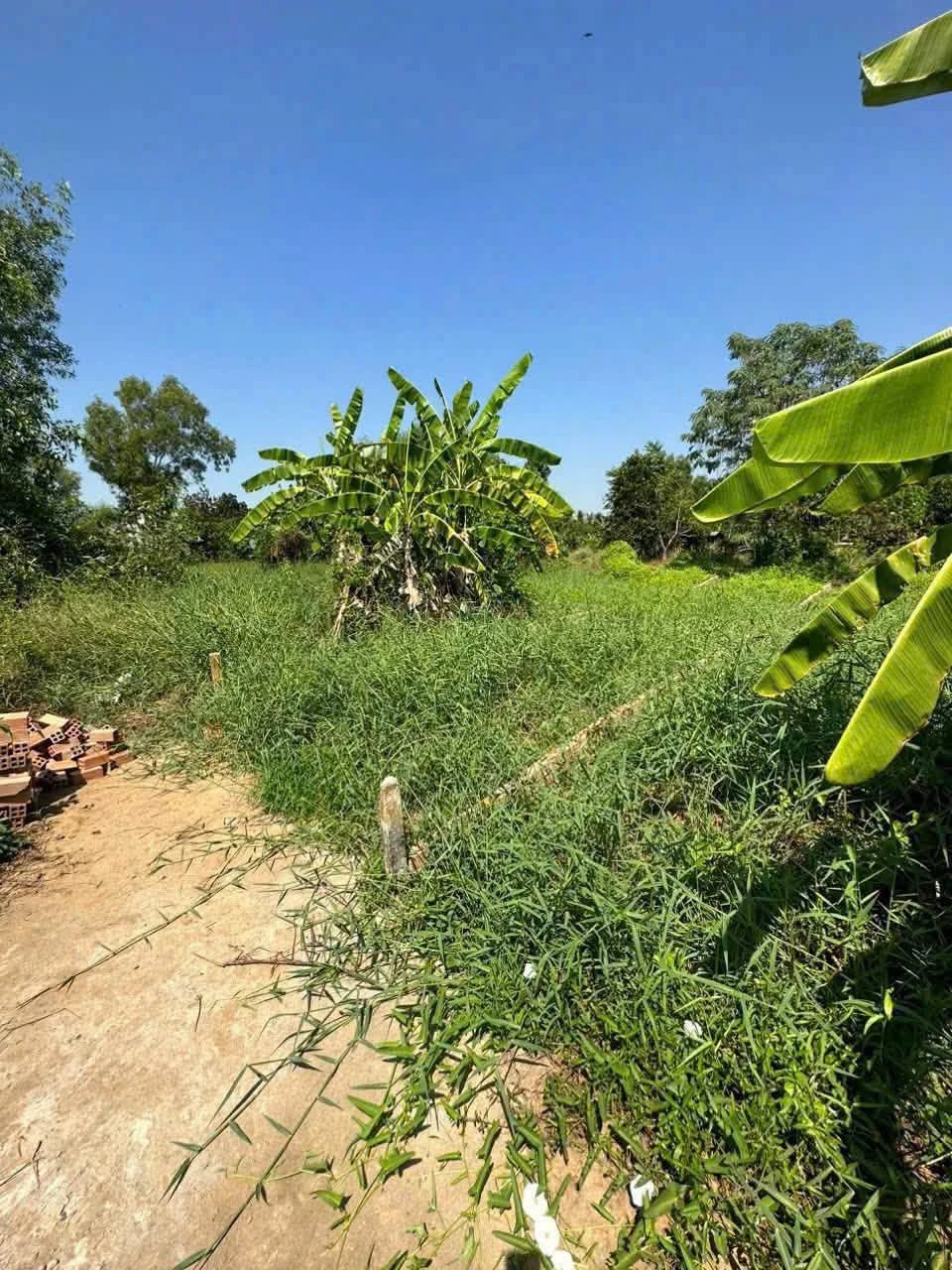 Bán đất thổ cư 103.6m² view sông tại Cần Giờ - Ảnh 1