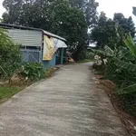 Bán lô đất mặt tiền 2000m² Xã Hàm Hiệp Lâm Đồng - Ảnh thu nhỏ 1
