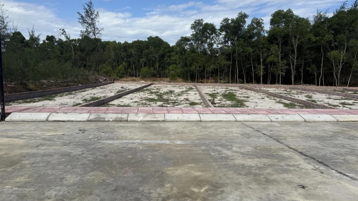 206m² có 116m² thổ cư ngay gần biển Triệu Cơ - Ảnh thu nhỏ 4