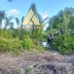 Bán đất 7.420m² nuôi trồng thủy sản Hồ Thị Kỷ, Cà Mau - Ảnh thu nhỏ 3