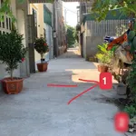 Bán lô đất ngõ phố Mai Độ, Hải Dương, 48.8 m2, 1.2 tỷ - Ảnh thu nhỏ 3