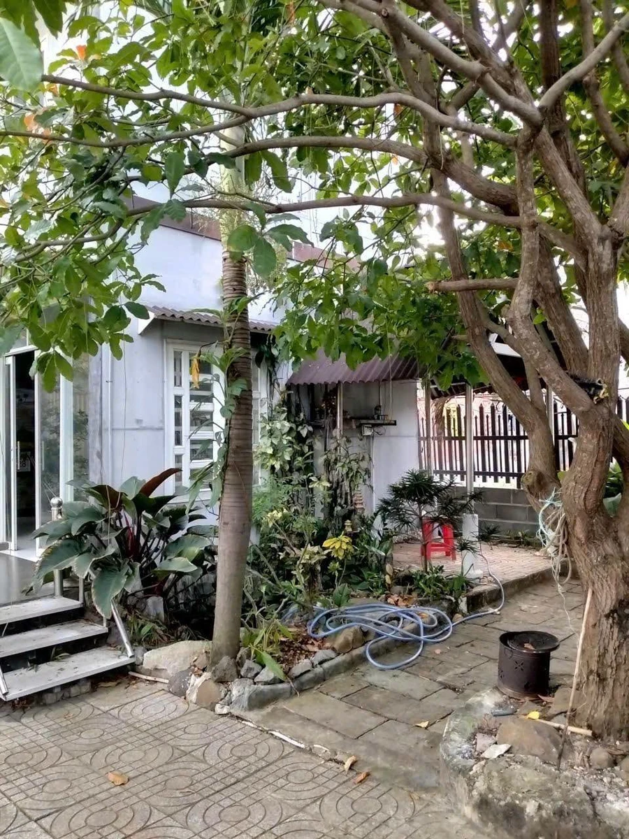 Bán nhà vườn Long Hải 250m² gần biển, giá 3 tỷ 850 triệu - Ảnh thu nhỏ 5