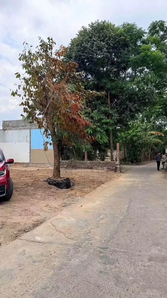Bán đất hẻm Hoàng Hoa Thám 65m2 giá 700 triệu - Ảnh thu nhỏ 2