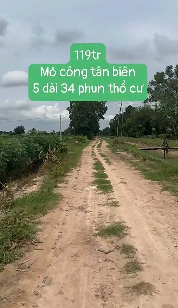 Bán đất 175m² giá 119 triệu tại Mỏ Công, Tây Ninh - Ảnh 1