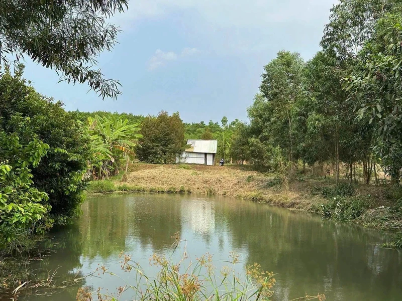 Bán đất Bù Đốp Bình Phước 10.800m² với nhà tiền chế