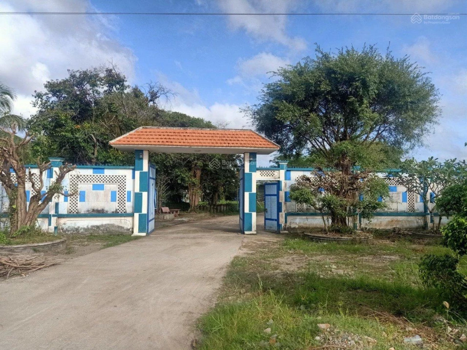 Bán gấp mặt đường Quản Lộ Phụng Hiệp, Tân Thành, Cà Mau, 8898m, ngang 69m, chỉ 29 tỷ - Ảnh thu nhỏ 4