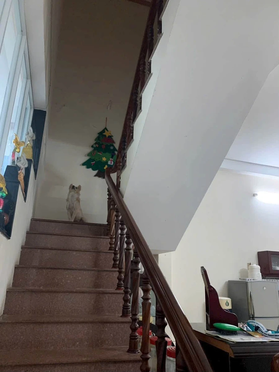 Bán nhà mặt tiền Trần Quang Diệu, Xuân An 100m2, 3.7 tỷ - Ảnh thu nhỏ 5