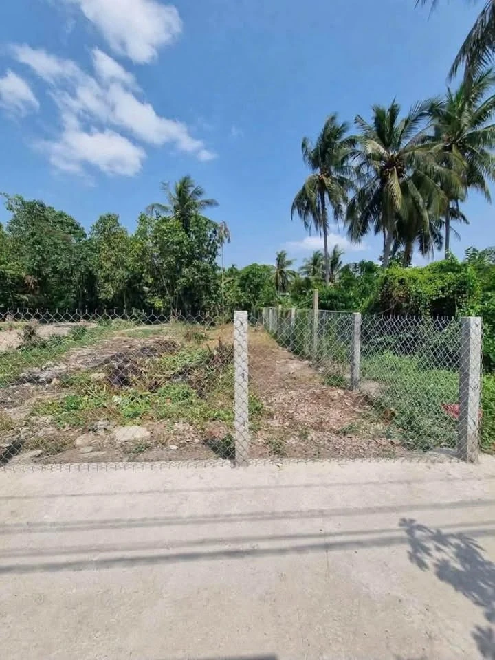 Bán nền Phú Tân 132m² 780 triệu Bình Tân - Ảnh thu nhỏ 2