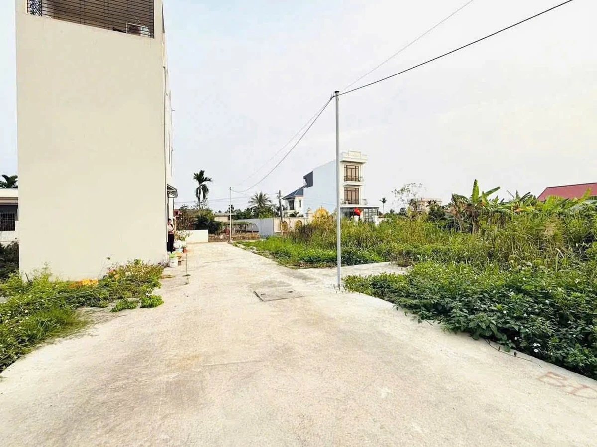 Bán lô góc 62,5m2 tại TDP Quang Trung, Hải Phòng 1,2 tỷ - Ảnh thu nhỏ 4