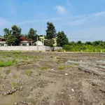 Bán đất thổ 5x31m giá 450 triệu sát trường học, cách tỉnh lộ 833 khoảng 100m - Ảnh thu nhỏ 2