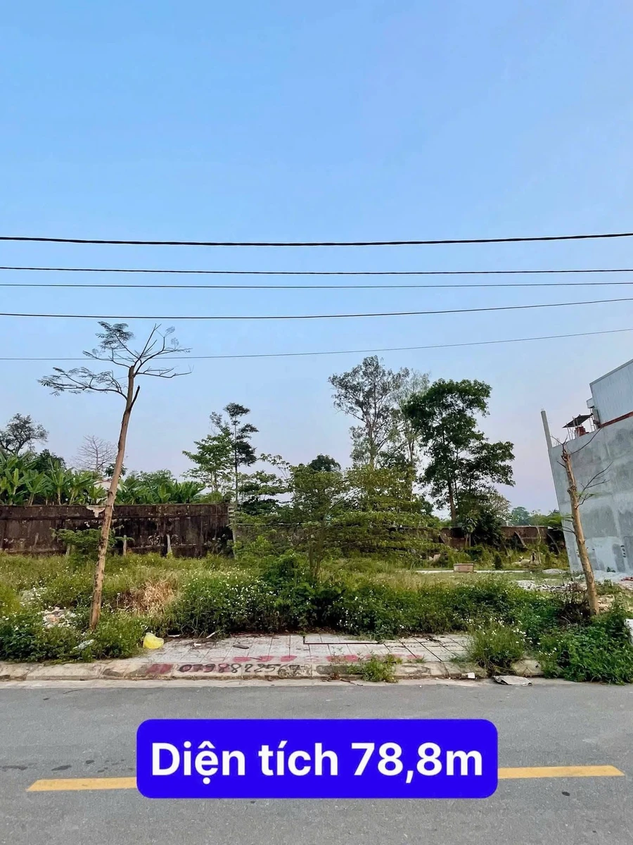 Bán đất mặt tiền 78.8m² tại Phường Thuận Hoá, Huế - Ảnh thu nhỏ 4
