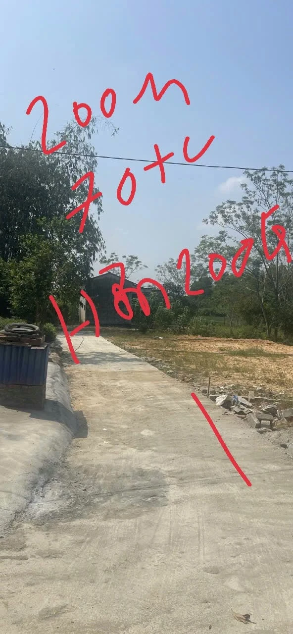 Bán đất 250 m² mặt tiền 10 m Liên Hồng hơn 200 tỷ - Ảnh 1