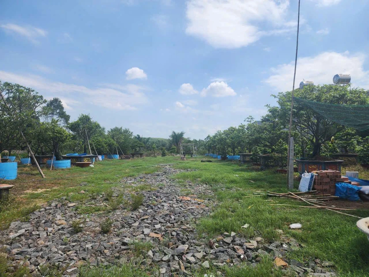 Bán đất 10.000m2 Xã Bình Minh, Đồng Nai 16 tỷ - Ảnh thu nhỏ 5
