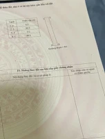 Bán đất đường 3 Phường Phú Mỹ, Hồ Chí Minh. Sổ hồng, có thổ cư, đường nhựa lớn - Ảnh thu nhỏ 5