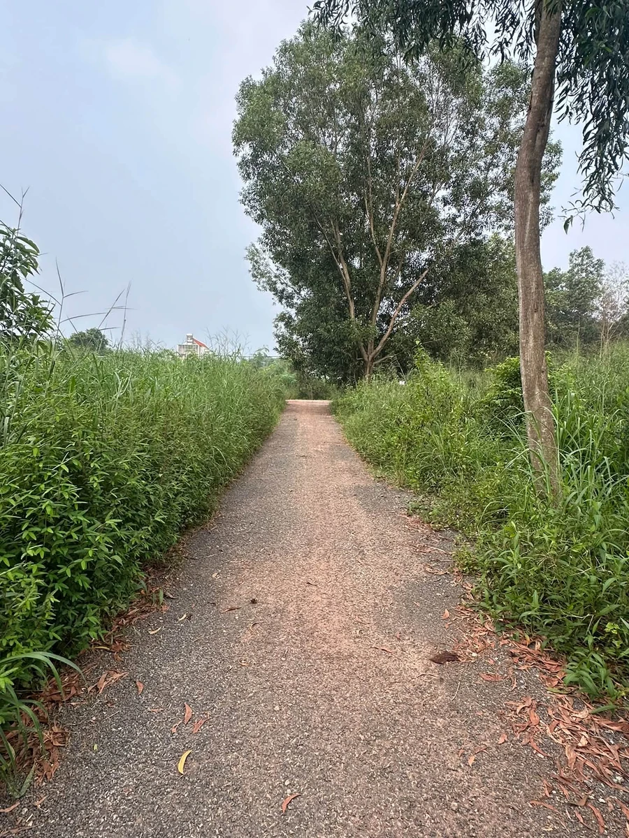 Bán đất Lê Duẩn Chơn Thành 100m2, 400 triệu - Ảnh thu nhỏ 2