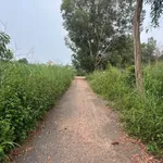 Bán đất Lê Duẩn Chơn Thành 100m2, 400 triệu - Ảnh thu nhỏ 2